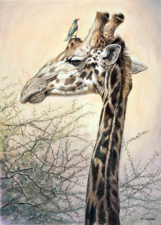 On the top. Girafe.