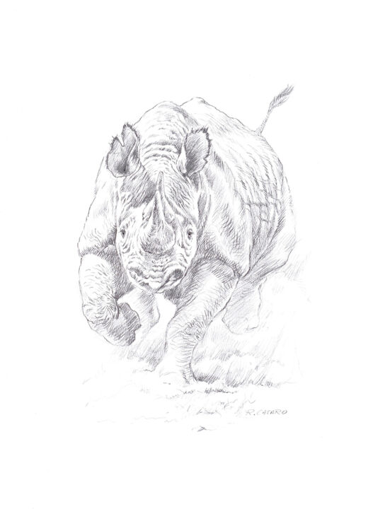 Big five - Rhino
