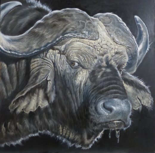 The black continent: Bufalo